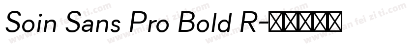 Soin Sans Pro Bold R字体转换